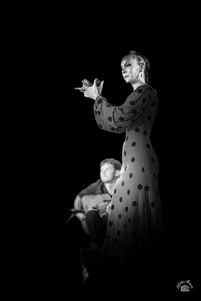 flamenco (74)